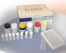 T-4 Elisa kits: Bộ thử định lượng nội tiết tố tuyến giáp T4